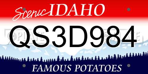 QS3D984 Idaho License Plate