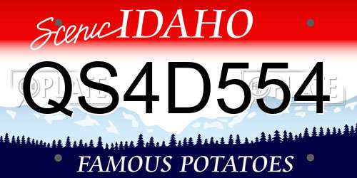 QS4D554 Idaho License Plate