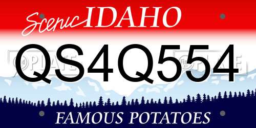 QS4Q554 Idaho License Plate