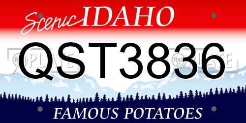 QST3836 Idaho License Plate