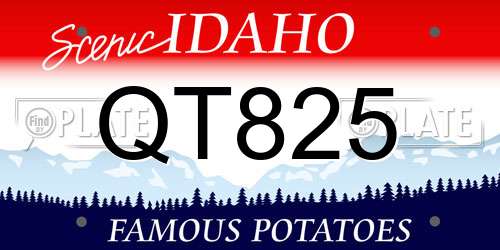 QT825 Idaho License Plate