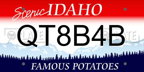 QT8B4B Idaho License Plate