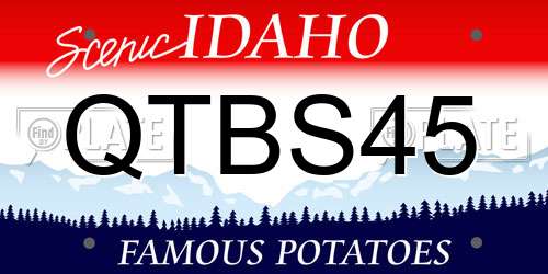 QTBS45 Idaho License Plate