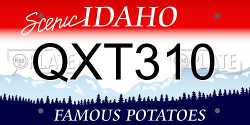 QXT310 Idaho License Plate