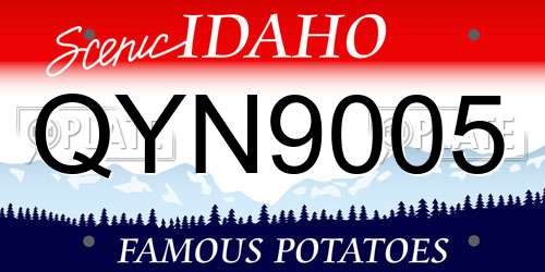 QYN9005 Idaho License Plate