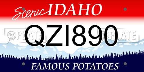 QZI890 Idaho License Plate