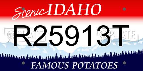 R25913T Idaho License Plate
