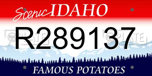 R289137 Idaho License Plate