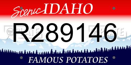 R289146 Idaho License Plate