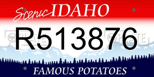 R513876 Idaho License Plate