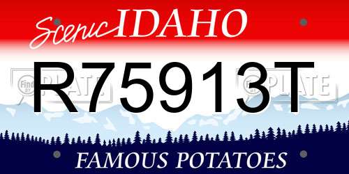R75913T Idaho License Plate