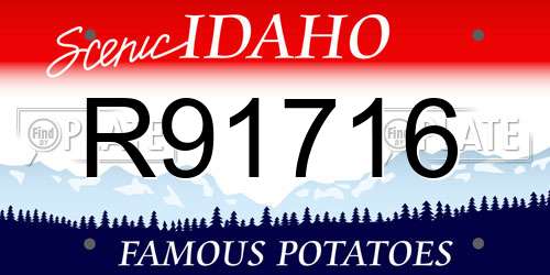R91716 Idaho License Plate
