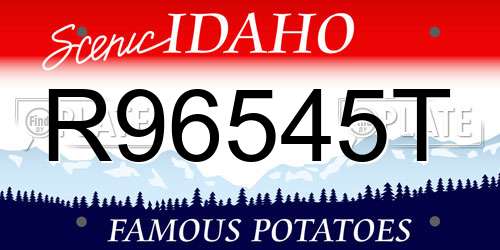 R96545T Idaho License Plate