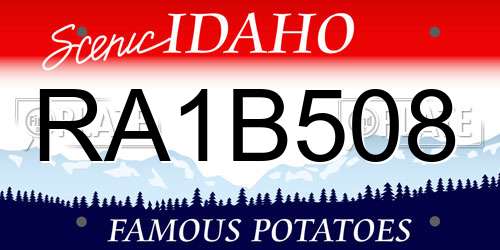 RA1B508 Idaho License Plate