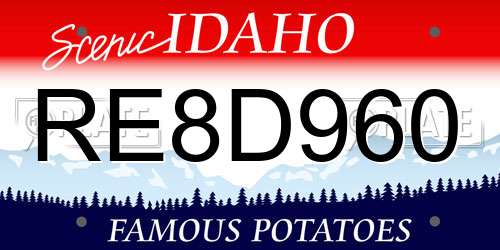 RE8D960 Idaho License Plate