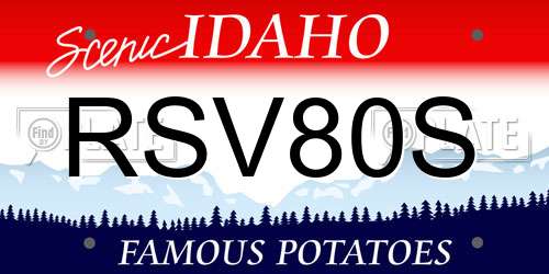 RSV80S Idaho License Plate