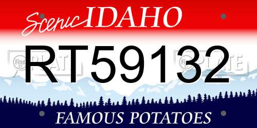 RT59132 Idaho License Plate