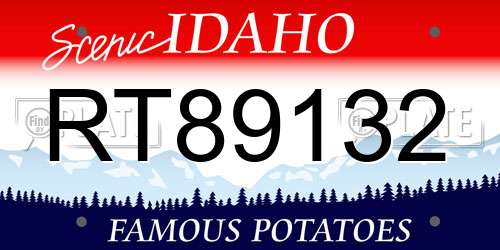 RT89132 Idaho License Plate