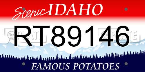 RT89146 Idaho License Plate