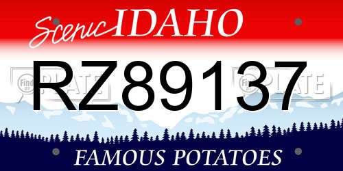 RZ89137 Idaho License Plate
