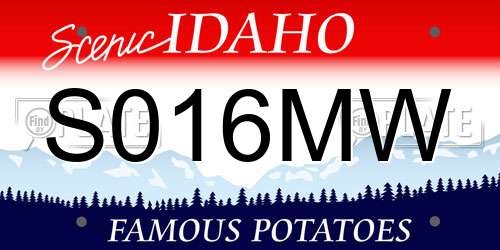 S016MW Idaho License Plate