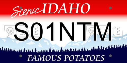 S01NTM Idaho License Plate