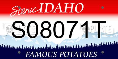 S08071T Idaho License Plate