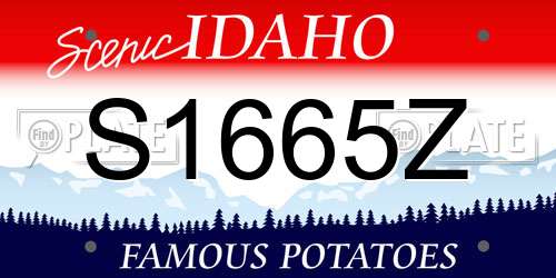 S1665Z Idaho License Plate