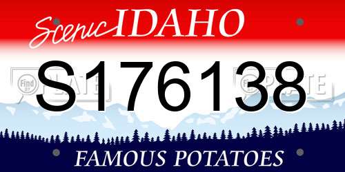 S176138 Idaho License Plate