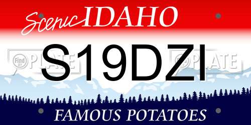 S19DZI Idaho License Plate