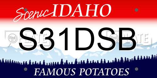 S31DSB Idaho License Plate