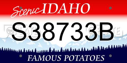 S38733B Idaho License Plate
