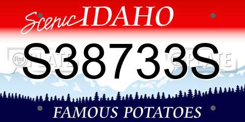 S38733S Idaho License Plate