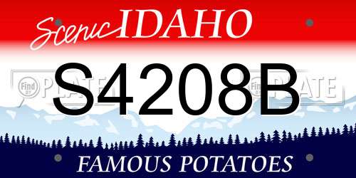 S4208B Idaho License Plate