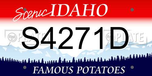 S4271D Idaho License Plate