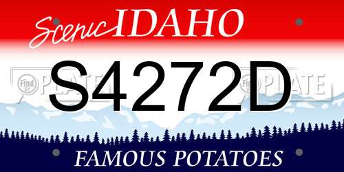 S4272D Idaho License Plate