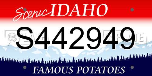 S442949 Idaho License Plate