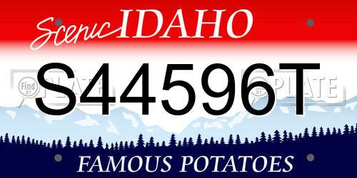 S44596T Idaho License Plate