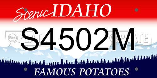 S4502M Idaho License Plate