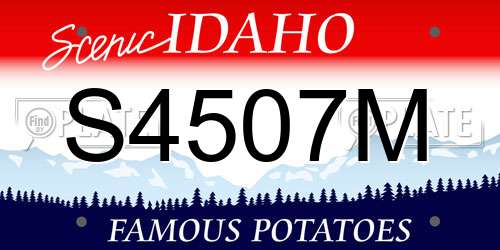 S4507M Idaho License Plate