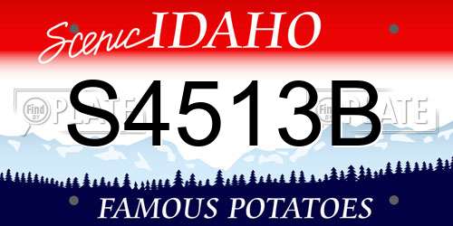 S4513B Idaho License Plate