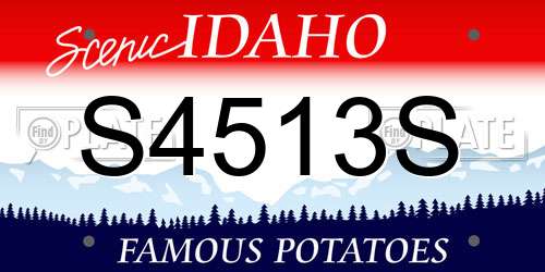 S4513S Idaho License Plate