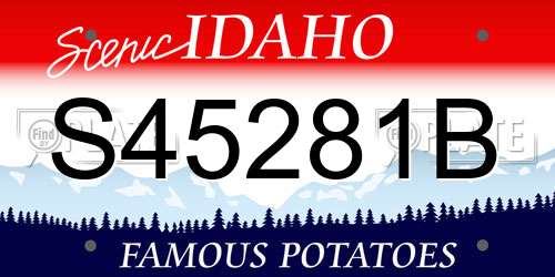 S45281B Idaho License Plate