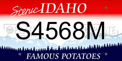 S4568M Idaho License Plate