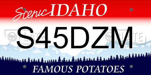 S45DZM Idaho License Plate