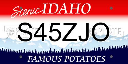 S45ZJO Idaho License Plate
