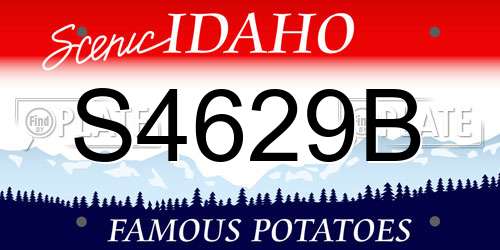 S4629B Idaho License Plate