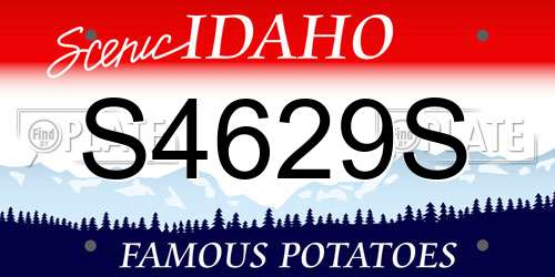 S4629S Idaho License Plate