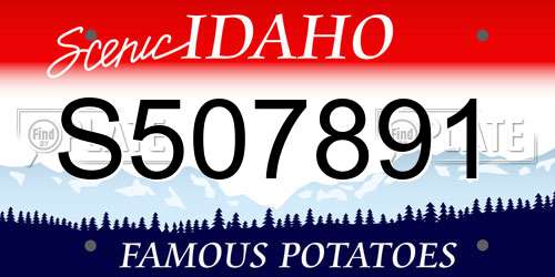 S507891 Idaho License Plate
