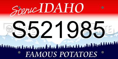 S521985 Idaho License Plate